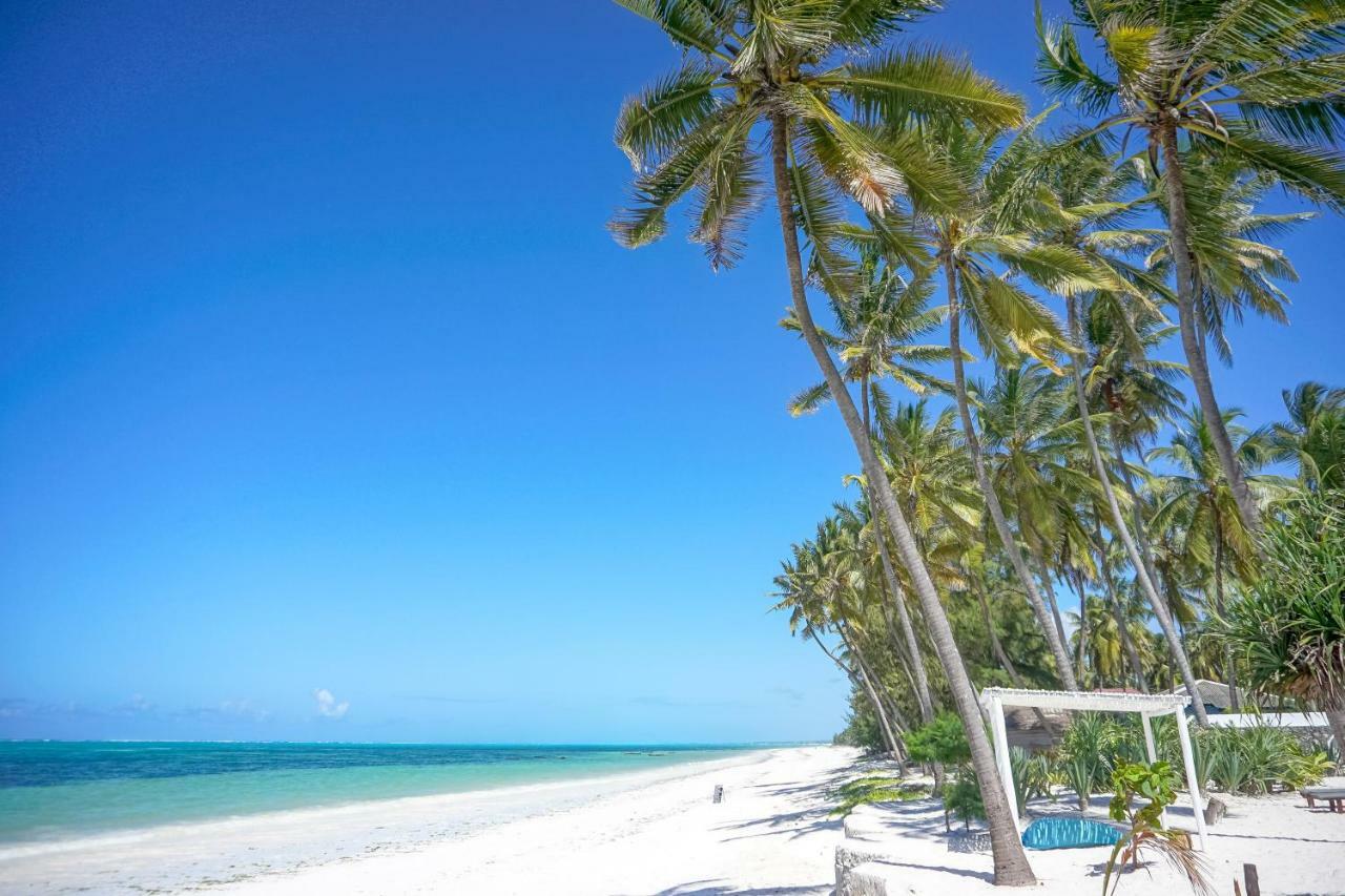Indigo Beach Zanzibar Bwejuu Eksteriør bilde